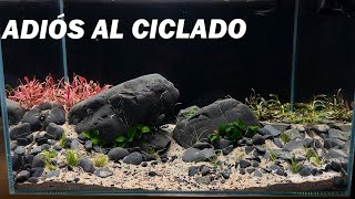 ¡NO MAS CICLADO A OSCURAS LLEGARON LAS PLANTAS PARA EL ACUARIO [upl. by Tansy]