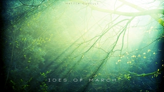 VI  Mattia Cupelli  Ides of March [upl. by Mcclenaghan]