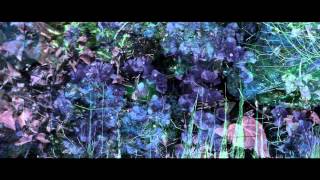 Doldrums  Lost In Everyone Official Video [upl. by Meaghan]