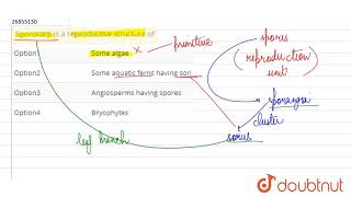 Sporocarp is a reproductive structure of [upl. by Wohlert]