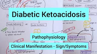 Diabetes Ketoacidosis  Pathophysiology Signs amp Symptoms [upl. by Ayotal755]