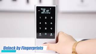 Tuya WiFi OLED Display Access control [upl. by Ahsrav717]