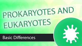 Prokaryotic and Eukaryotic Cell Differences [upl. by Baxie]