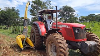 Estreando a nova ensiladeira JF C120 2024 no trator massey Ferguson 4292 [upl. by Durno374]