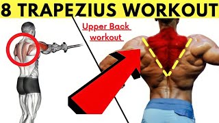 8 Trapezius Workout With Cable At Gym  Trapezius Exercises At Gym Hof upperback trapsworkout [upl. by Nyllij542]