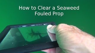 How to Clear a Seaweed Fouled Prop [upl. by Annotahs]