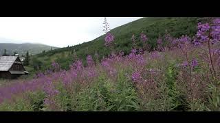 Sountrack  Tatra Mountains  Tatry Świnica  Hala Gąsienicowa  Cinematic Epic Film music [upl. by Seaman598]