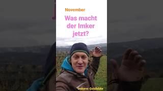 November Was macht der Imker  Neues aus der Imkerei [upl. by Thirzi]