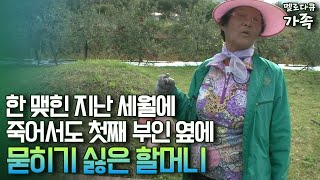 다큐 ‘가족’ 196회⑤ 한 맺힌 지난 세월에 죽어서도 첫째 부인 옆에 묻히기 싫은 할머니 [upl. by Noble]