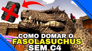 COMO DOMAR O FASOLASUCHUS NO MAPA SCORCHED EARTH NO ARK SURVIVAL ASCENDED SEM C4 E SEM BATER NO SAL [upl. by Alvin]