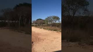 🔴VENTA Terreno 300 m2 Merida 🇲🇽 realestate bienesraices mexico merida yucatán [upl. by Jessie]