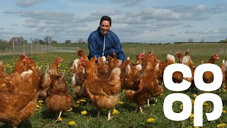 Coop Food  Meet the Producer  Free Range Eggs [upl. by Hull]