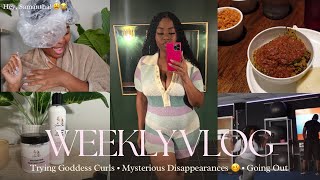 Trying Hazel Goddess’ Hair Products Carlee Russell 😳 Nigerian Food amp More  Vlog [upl. by Ailla]