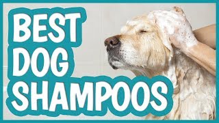 Best Dog Shampoo in 2019  TOP 10 Dog Shampoos [upl. by Annohs75]