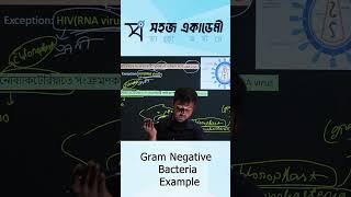 Gram Negative Bacteria Example [upl. by Jobie]