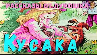 Кусака  Рассказ  Леонид Андреев  Аудио рассказ Кусака  Рассказы о животных  Аудио рассказы [upl. by Nyleikcaj]