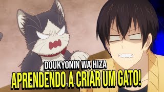 O ANIME INCRIVEL QUE TE ENSINA A COMO CRIAR UM GATINHO  Doukyonin wa Hiza Tokidoki Atama no Ue [upl. by Kall]