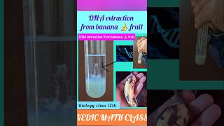 DNA extraction from banana 🍌 fruit shorts science biology [upl. by Grane627]