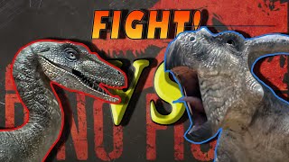 VELOCIRAPTOR VS PROTOCERATOPS  The Fighting Dinosaurs specimen  Dinosaur duel fights [upl. by Kcirtap]