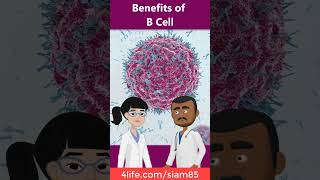 The benefits of B Cell 4life immune 4lifetransferfactor healthproduct [upl. by Alyks]