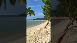 Secluded Beach beach beachlifeisthebestlife beachvibes shortvideo shortsyoutube [upl. by Roxy]