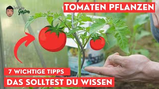 Tomaten einpflanzen  Das solltest du wissen [upl. by Bernardine]