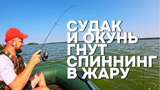 СУДАК И ОКУНЬ НА ДЖИГ ЛЕТОМ ЛОВИМ ОКУНЯ И СУДАКА НА СПИННИНГ В ЖАРУ УЛЬТРАЛАЙТ В ДУГУ [upl. by Lenoj433]