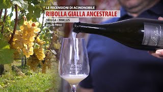 Metodo Ancestrale  Ribolla Gialla  Miklus Franceso [upl. by Katonah]