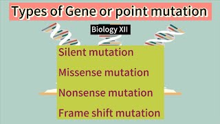 Mutation types  Silent mutation  missense mutation  nonsense mutation  frameshift mutation [upl. by Jemy671]