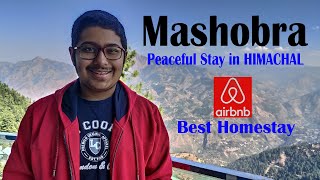 MASHOBRA Best Homestay in Himachal  Near Shimla  Travel With Adhiraj [upl. by Yecaw]