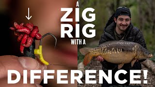 This carp fishing Zig Rig outcaught everyone elses [upl. by Rancell]