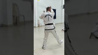 Choong moo tul in Bangaloru performed by Israel G Xuivi in itftaekwondo Master seminar [upl. by Most]