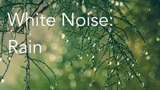 Rain Sounds for Relaxing Focus or Deep Sleep  Nature White Noise  8 Hour Video [upl. by Adriane]