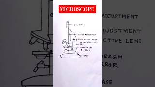 Easy MICROSCOPE diagram without scale biology diagram shorts microscope [upl. by Mcmillan]