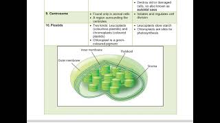 Cell – The Structural and Functional Unit of Life ICSE Class 10 Biology Notes Quick Revision Notes [upl. by Ardnad]