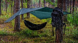 The Truth About Hammock Camping [upl. by Eittel]