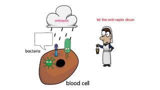 antiseptic vs disinfectant [upl. by Nujra]