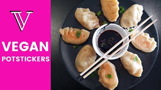 HOW do you make HOMEMADE POTSTICKERS  EASY VEGAN POTSTICKERS  Dumplings  Vegan dumpling  Shorts [upl. by Hendrika294]