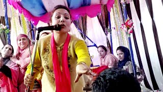 Super Hit Kashmiri Song  Kashmiri Roff Song  MorningRov KashmiriDancer [upl. by Stutzman]