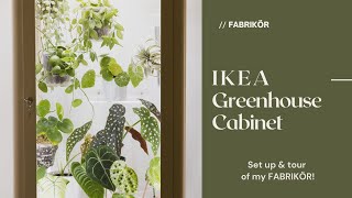 IKEA Greenhouse Cabinet  details of my Fabrikor amp a plant tour Keep tropicals alive through winter [upl. by Latia]