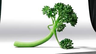 Tenderstem® Broccoli but better [upl. by Danby]