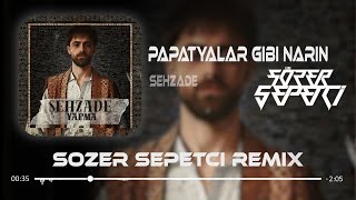 Papatyalar Gibi Narin  Sözer Sepetci Remix   YAPMA [upl. by Sivia]