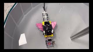 Aquatic Soft Robot Challenge  Group 4 [upl. by Htepsle891]