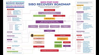 The SIBO Recovery Roadmap® Course [upl. by Vittoria]