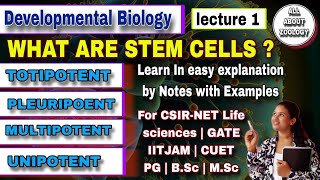 STEM CELLS amp THEIR TYPES  MSc Classes  Developmental Biology CSIRNET LIFE SCIENCES GATE [upl. by Agate]