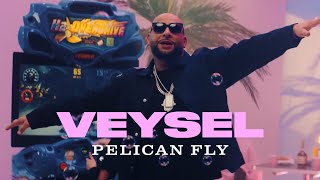 VEYSEL  PELICAN FLY Official Video [upl. by Mella]