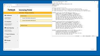 Ansys Licensing Managing Activations [upl. by Almeria510]