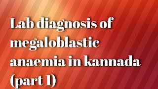 Lab diagnosis of megaloblastic anaemia PART1kannada [upl. by Naillimixam615]