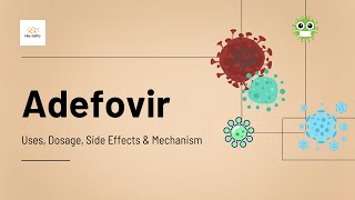 adefovir  Uses Dosage Side Effects amp Mechanism  Preveon [upl. by Heriberto81]