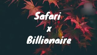 Sarena x Otilia  Safari x Billionaire  Lyrics video [upl. by Ydnyl801]